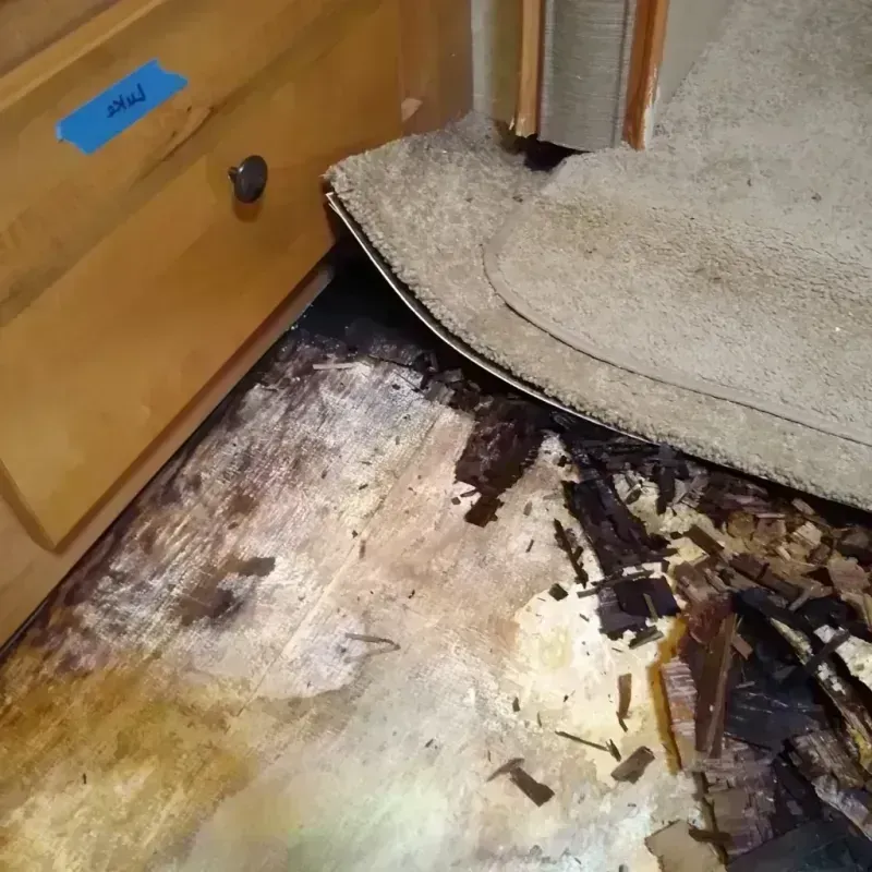 Wood Floor Water Damage in Piedmont, OK